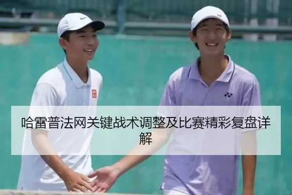 哈雷普法网关键战术调整及比赛精彩复盘详解